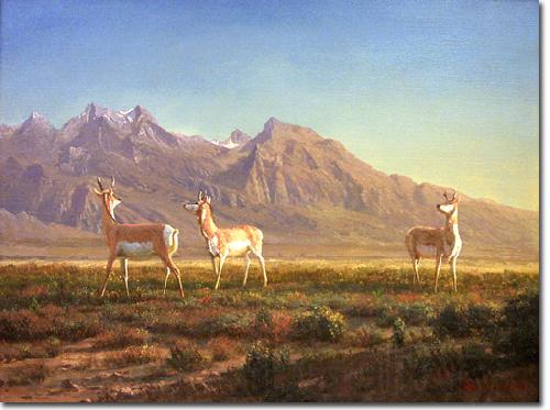 Albert Bierstadt Prong-Horned Antelope Spain oil painting art